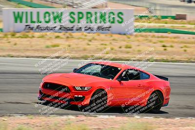 media/May-10-2025-Cobra Club (Sat) [[7b9c5022b1]]/Passenger/